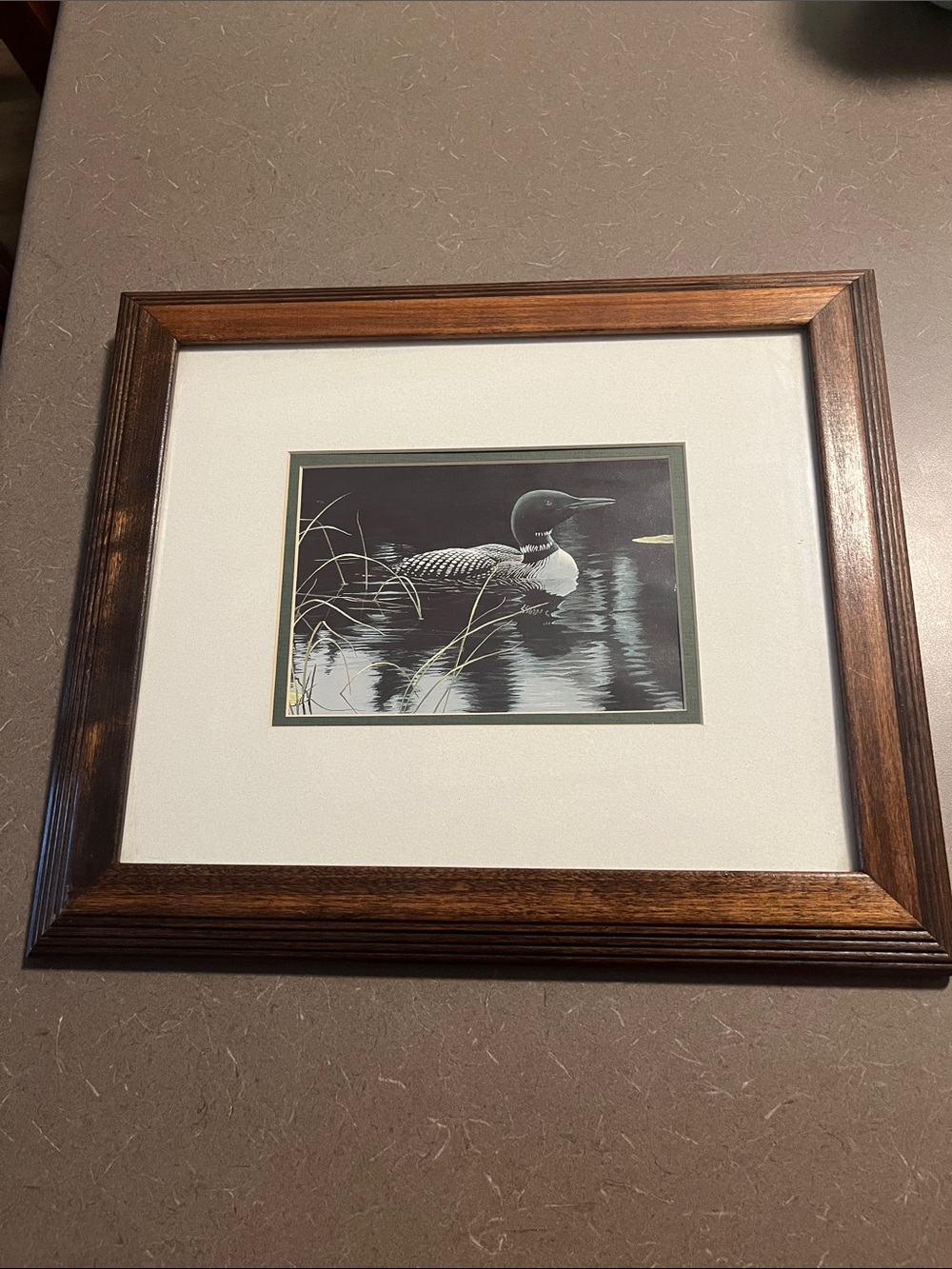 Framed Loon Waterfowl Art Print in Brown Wood Frame 12”x14”